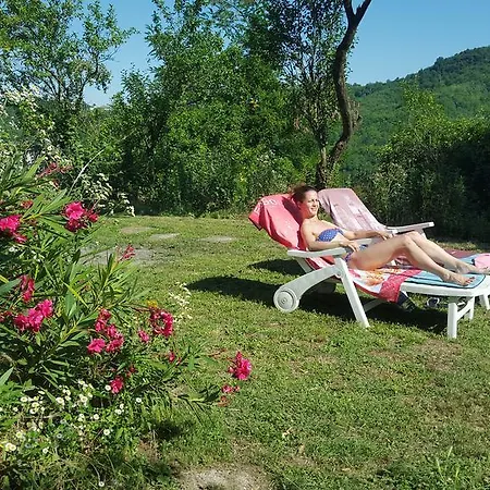 Rossomonferrato